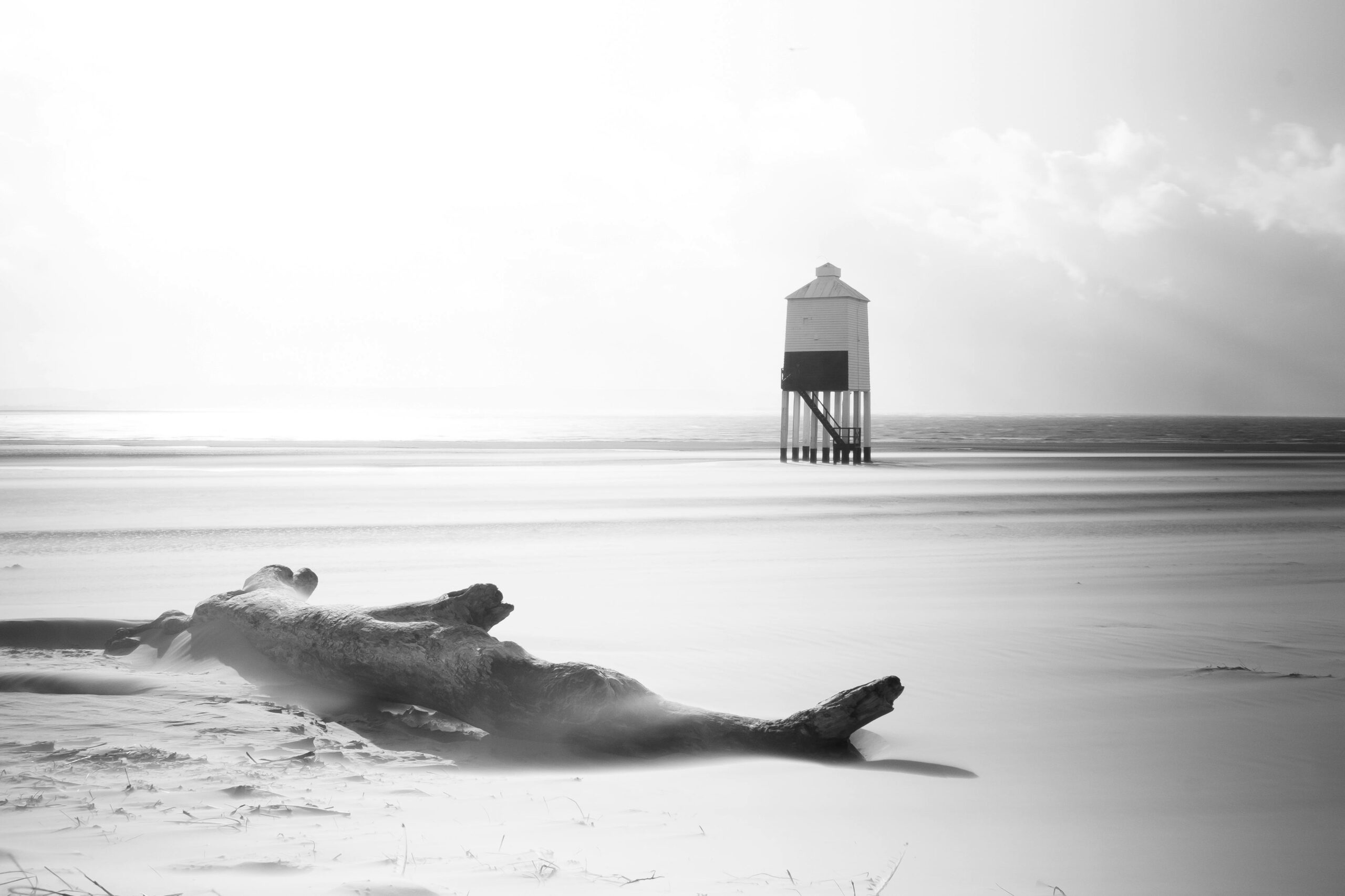 a tree trunk on a beach in black and white color