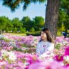 Photo of a woman sitting in the middle of a field of flowers