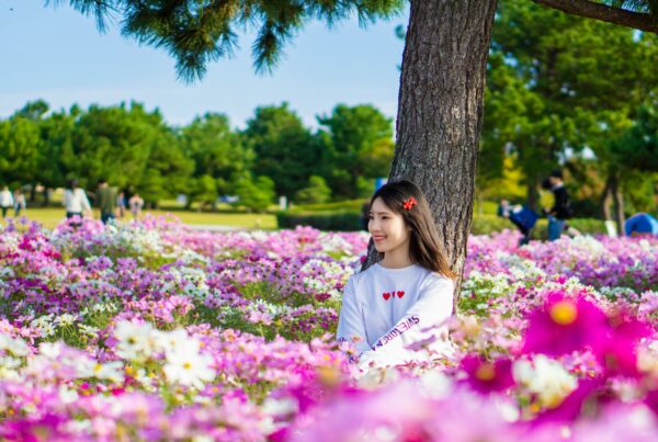 Photo of a woman sitting in the middle of a field of flowers
