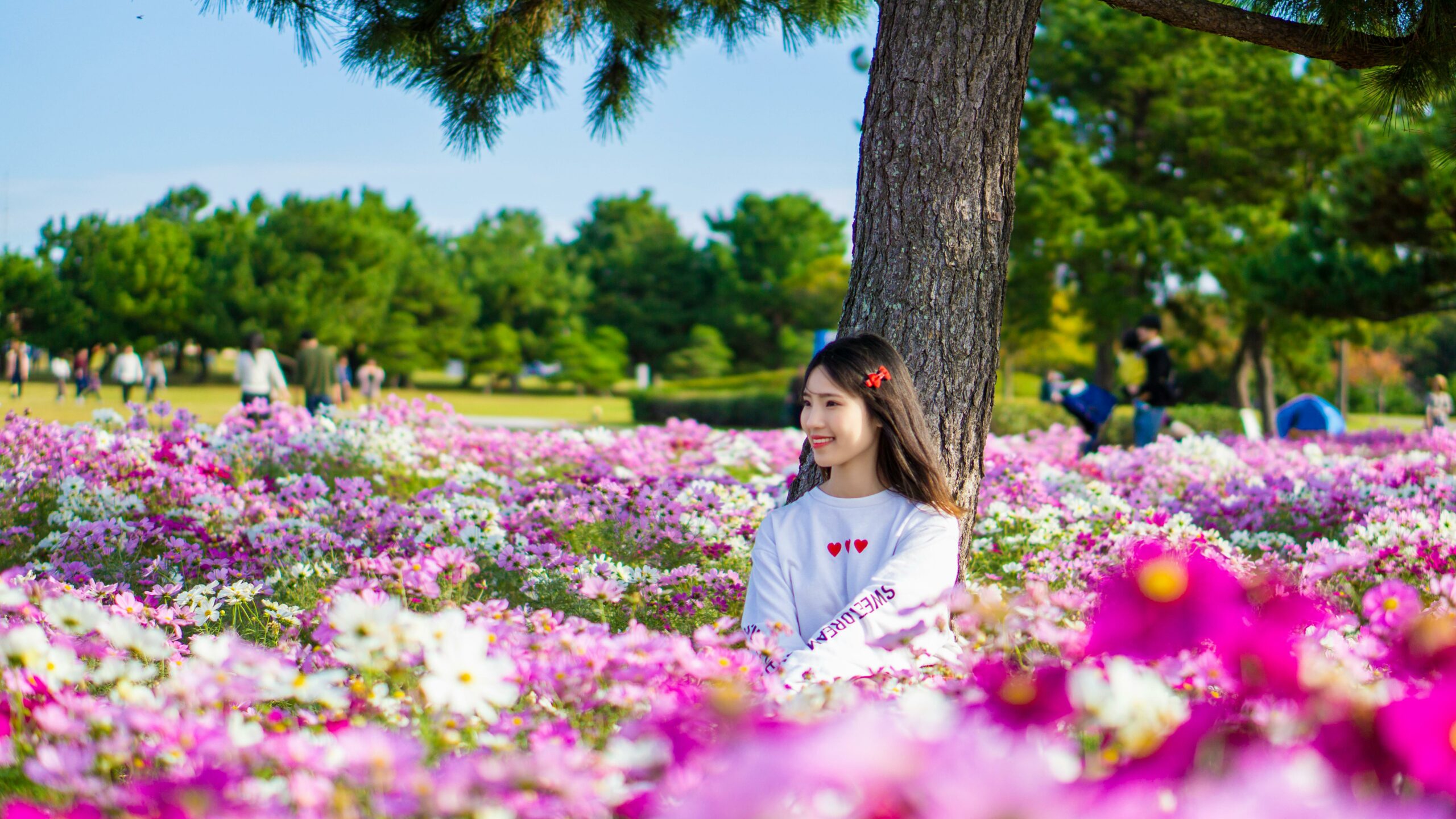 Photo of a woman sitting in the middle of a field of flowers